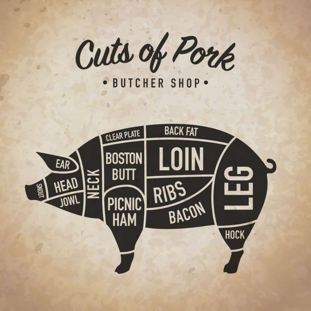 diagram showing various cuts of pork